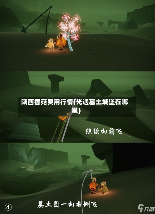 陕西香菇费用行情(光遇墓土城堡在哪里)