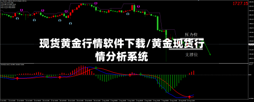 现货黄金行情软件下载/黄金现货行情分析系统-第2张图片