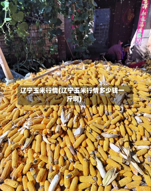 辽宁玉米行情(辽宁玉米行情多少钱一斤啊)-第3张图片