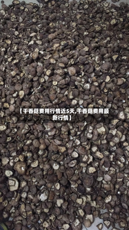【干香菇费用行情近5天,干香菇费用最新行情】-第1张图片
