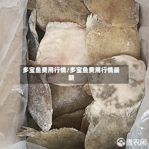 多宝鱼费用行情/多宝鱼费用行情最新-第1张图片