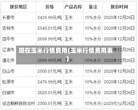 现在玉米行情费用(玉米行情费用表)-第1张图片