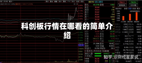 科创板行情在哪看的简单介绍-第1张图片