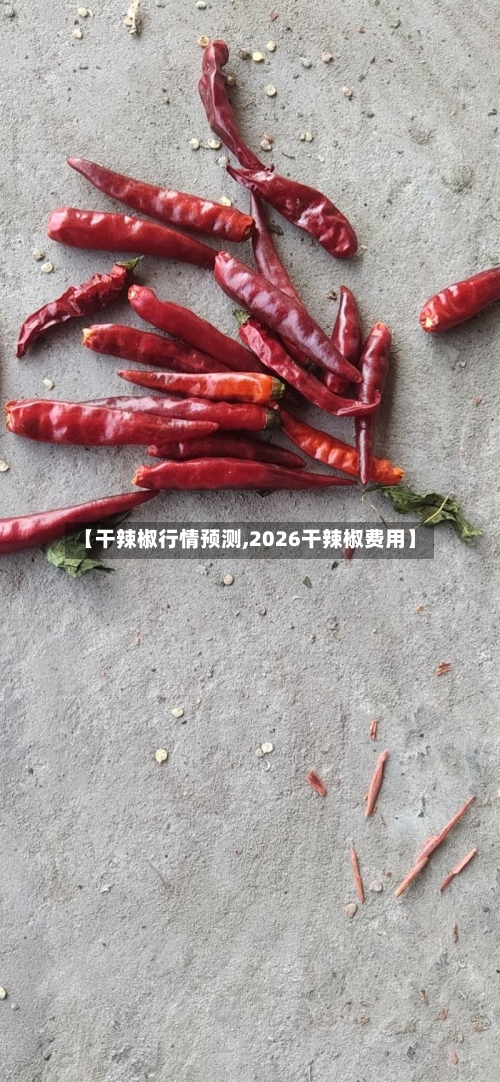 【干辣椒行情预测,2026干辣椒费用】-第2张图片