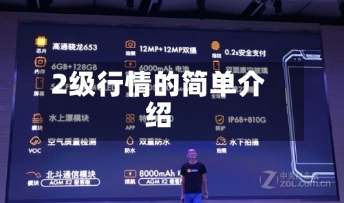 2级行情的简单介绍-第1张图片