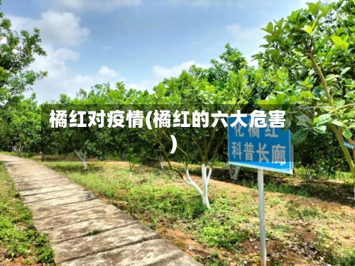 橘红对疫情(橘红的六大危害)-第2张图片