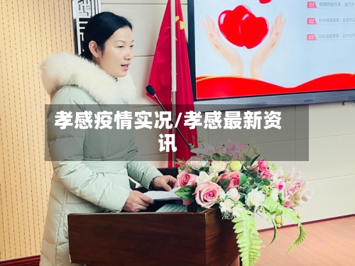 孝感疫情实况/孝感最新资讯-第2张图片