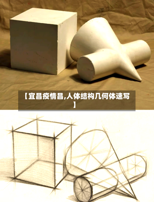 【宜昌疫情昌,人体结构几何体速写】-第3张图片