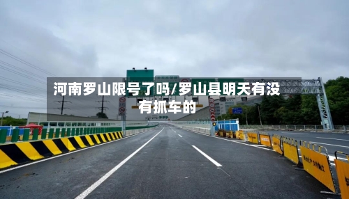 河南罗山限号了吗/罗山县明天有没有抓车的-第2张图片