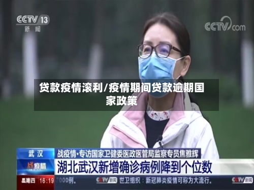 贷款疫情滚利/疫情期间贷款逾期国家政策-第3张图片