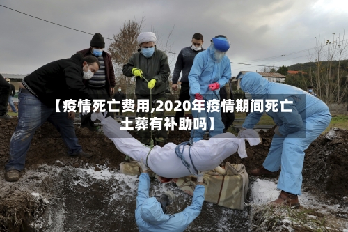 【疫情死亡费用,2020年疫情期间死亡土葬有补助吗】-第2张图片