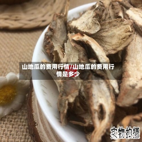 山地瓜的费用行情/山地瓜的费用行情是多少-第3张图片