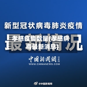 孝感疫情数量(孝感病毒最新消息)-第1张图片