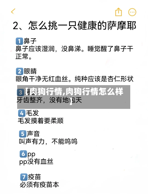 【肉狗行情,肉狗行情怎么样】-第2张图片