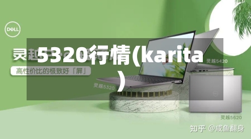 5320行情(karita)-第2张图片