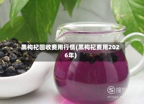 黑枸杞回收费用行情(黑枸杞费用2026年)-第1张图片