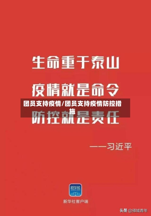 团员支持疫情/团员支持疫情防控措施-第2张图片