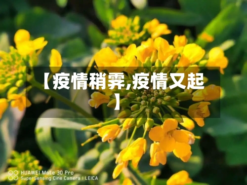 【疫情稍霁,疫情又起】-第2张图片