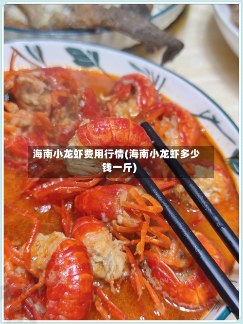 海南小龙虾费用行情(海南小龙虾多少钱一斤)-第3张图片