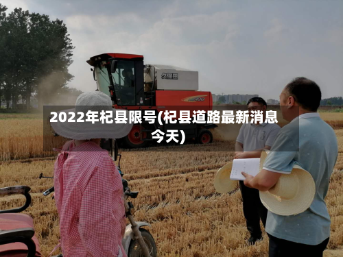 2022年杞县限号(杞县道路最新消息今天)-第3张图片