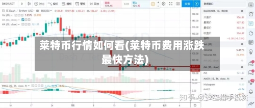 莱特币行情如何看(莱特币费用涨跌最快方法)-第1张图片