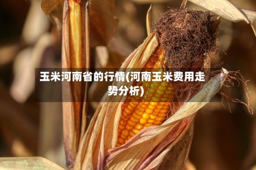 玉米河南省的行情(河南玉米费用走势分析)-第2张图片