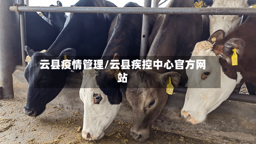 云县疫情管理/云县疾控中心官方网站-第3张图片
