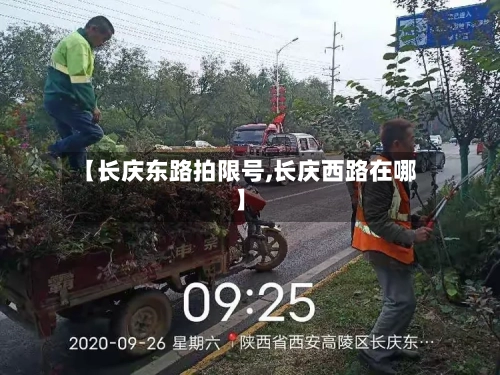 【长庆东路拍限号,长庆西路在哪】-第3张图片