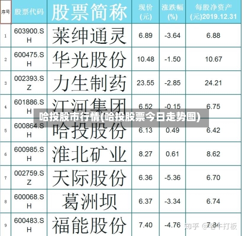 哈投股市行情(哈投股票今日走势图)-第3张图片