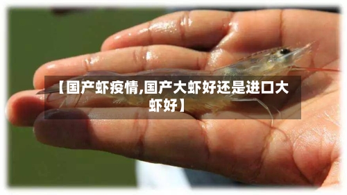 【国产虾疫情,国产大虾好还是进口大虾好】-第2张图片
