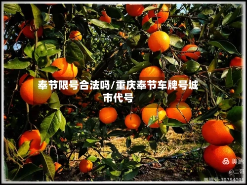 奉节限号合法吗/重庆奉节车牌号城市代号-第2张图片
