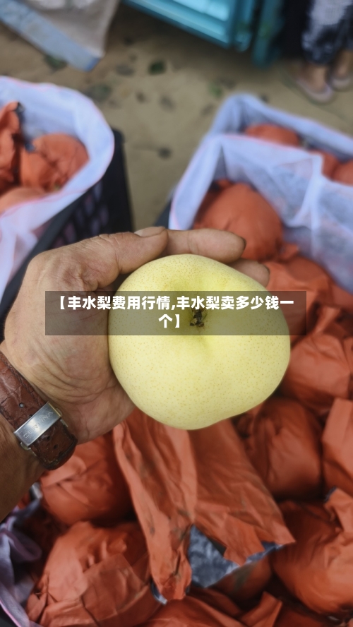 【丰水梨费用行情,丰水梨卖多少钱一个】-第2张图片