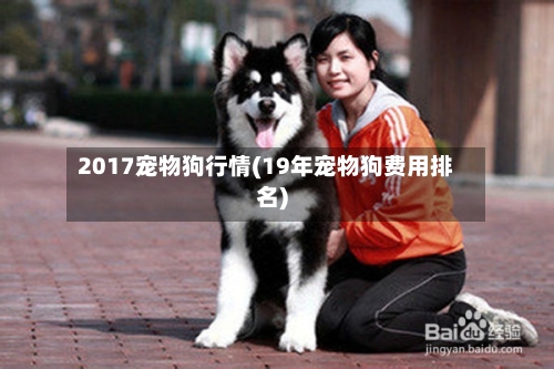 2017宠物狗行情(19年宠物狗费用排名)-第3张图片
