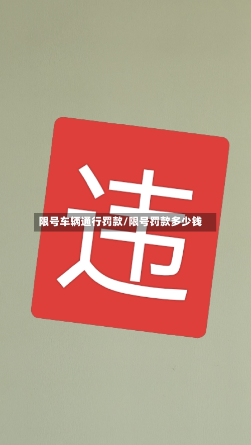 限号车辆通行罚款/限号罚款多少钱-第2张图片