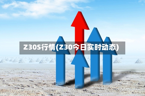 Z30S行情(Z30今日实时动态)-第2张图片