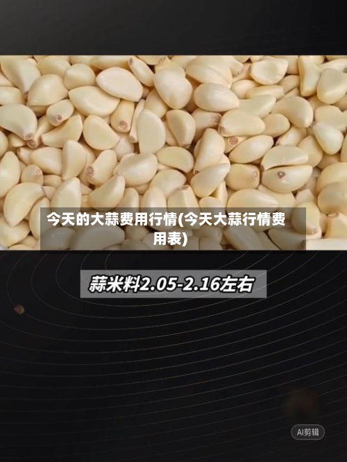 今天的大蒜费用行情(今天大蒜行情费用表)-第3张图片